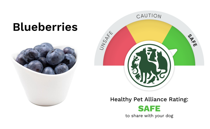 Are Blueberries Safe For Dogs?