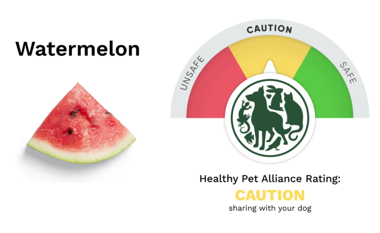 Can Dogs Eat Watermelon Safety Rating