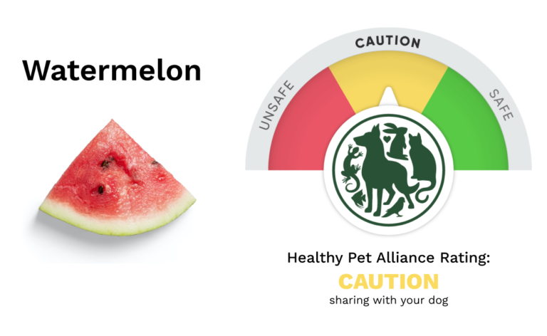 Can Dogs Eat Watermelon Healthy Pet Alliance