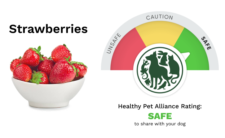 Is strawberries safe for dogs rating